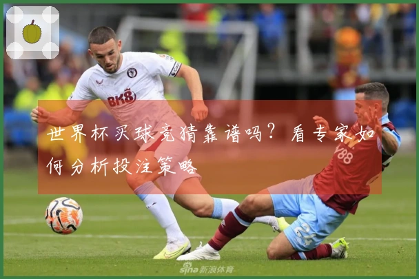 世界杯买球竞猜靠谱吗？看专家如何分析投注策略