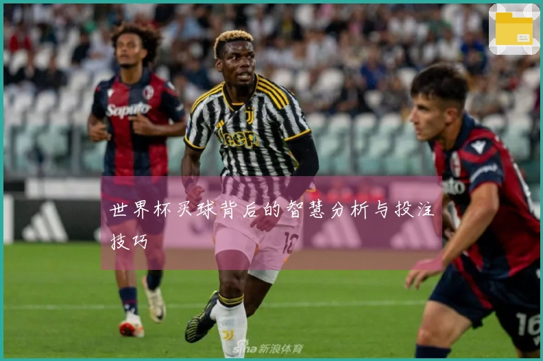 世界杯买球背后的智慧分析与投注技巧