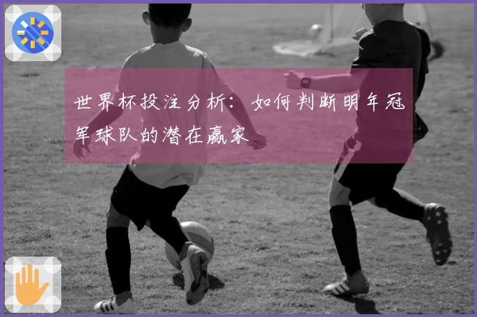 世界杯投注分析：如何判断明年冠军球队的潜在赢家