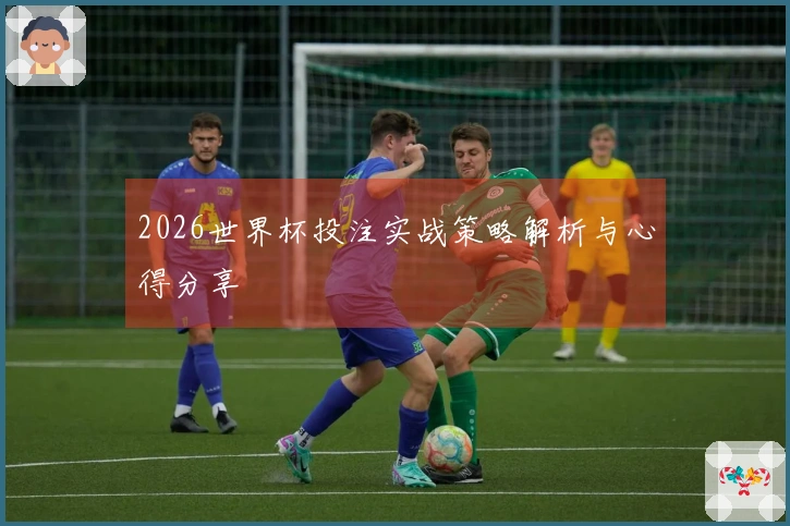 2026世界杯投注实战策略解析与心得分享