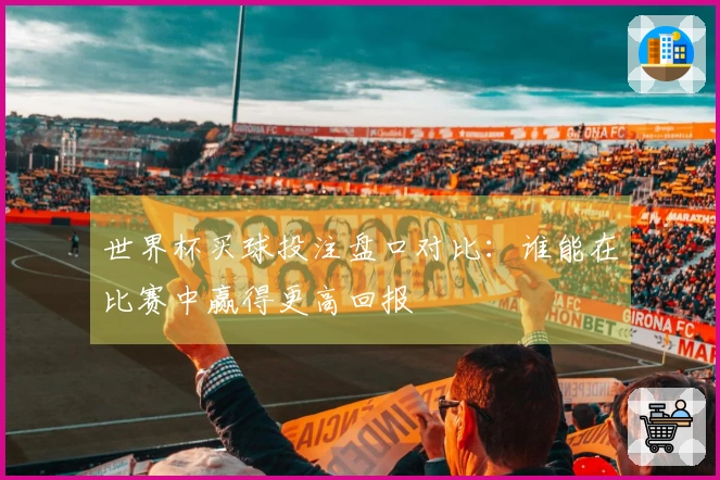 世界杯买球投注盘口对比：谁能在比赛中赢得更高回报
