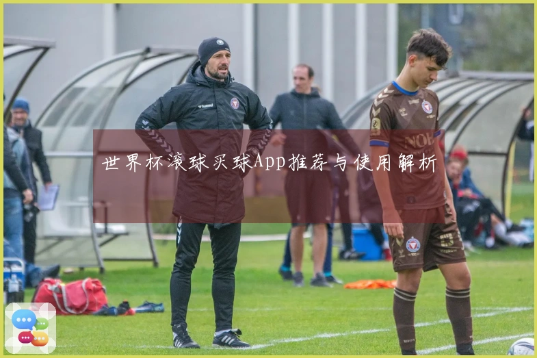 世界杯滚球买球App推荐与使用解析