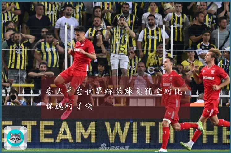 各大平台世界杯买球竞猜全对比，你选对了吗