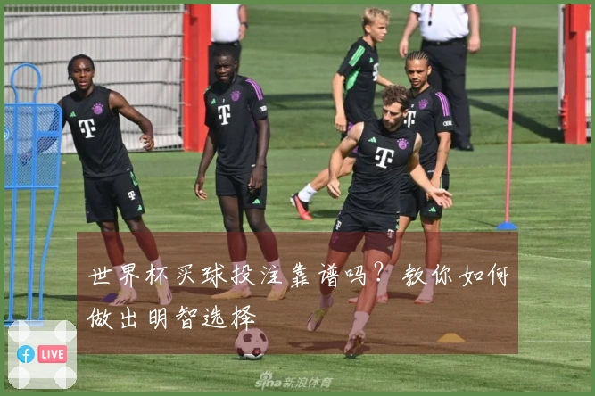 世界杯买球投注靠谱吗？教你如何做出明智选择