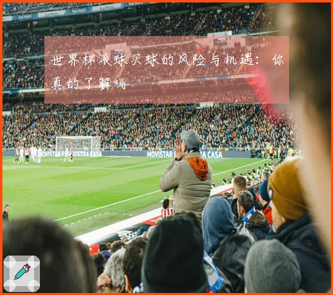 世界杯滚球买球的风险与机遇：你真的了解吗