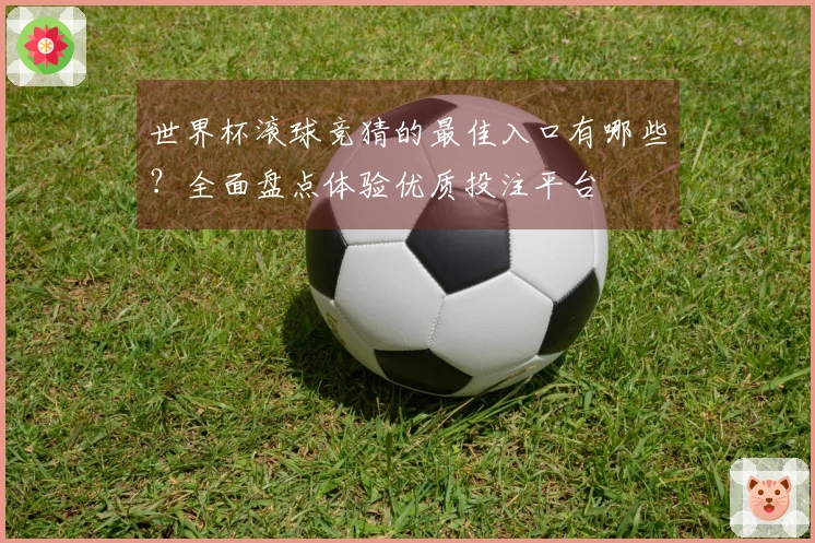 世界杯滚球竞猜的最佳入口有哪些？全面盘点体验优质投注平台
