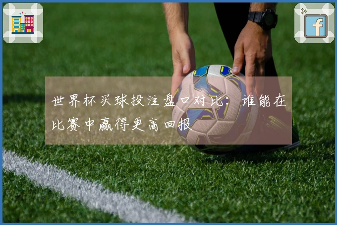 世界杯买球投注盘口对比：谁能在比赛中赢得更高回报