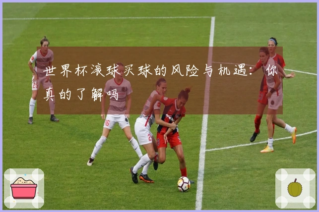 世界杯滚球买球的风险与机遇：你真的了解吗